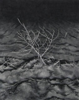 김정호 KIM Jungho, artwork, 회색 유언, 2026