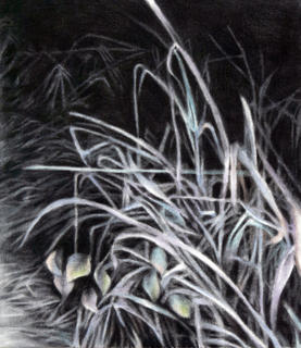 김정호 KIM Jungho, artwork, 남겨지고 사라질, 2026