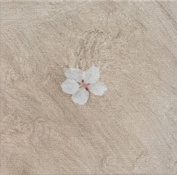 김대유 Kim Daeyou, artwork, 벚꽃, 2026