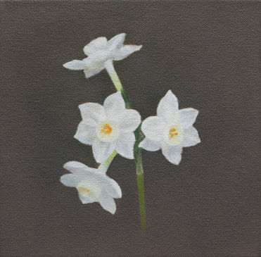 김대유 Kim Daeyou, artwork, 수선화, 2026